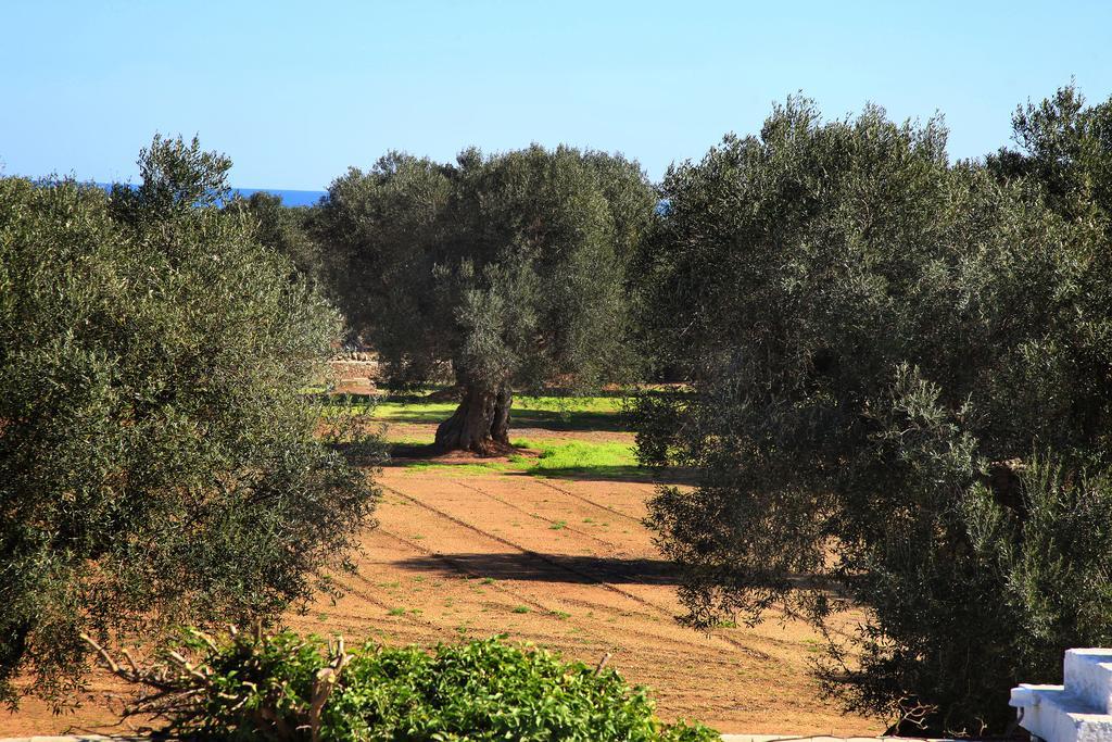 Masseria Pittore Savelletri Eksteriør billede